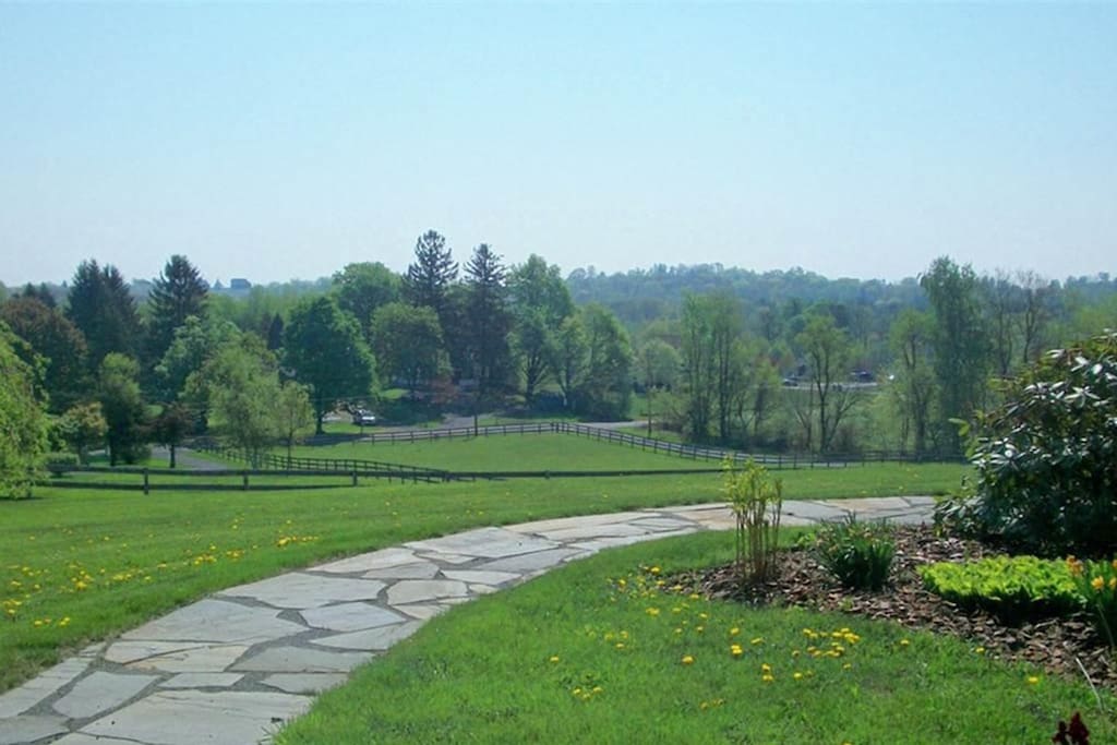 The view from the side of the house down to the main road.