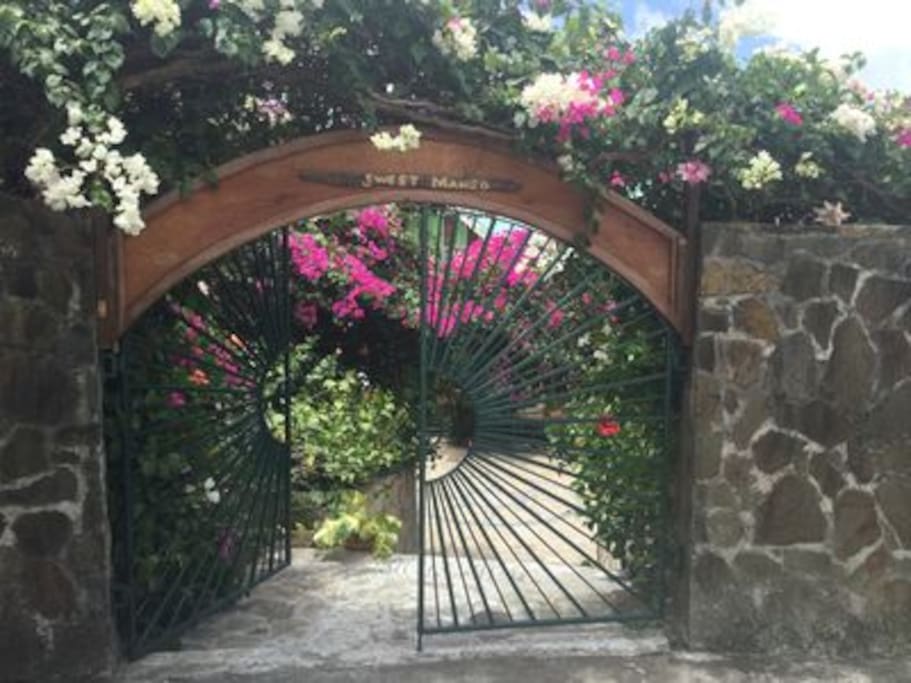 Welcome to Sweet Bequia