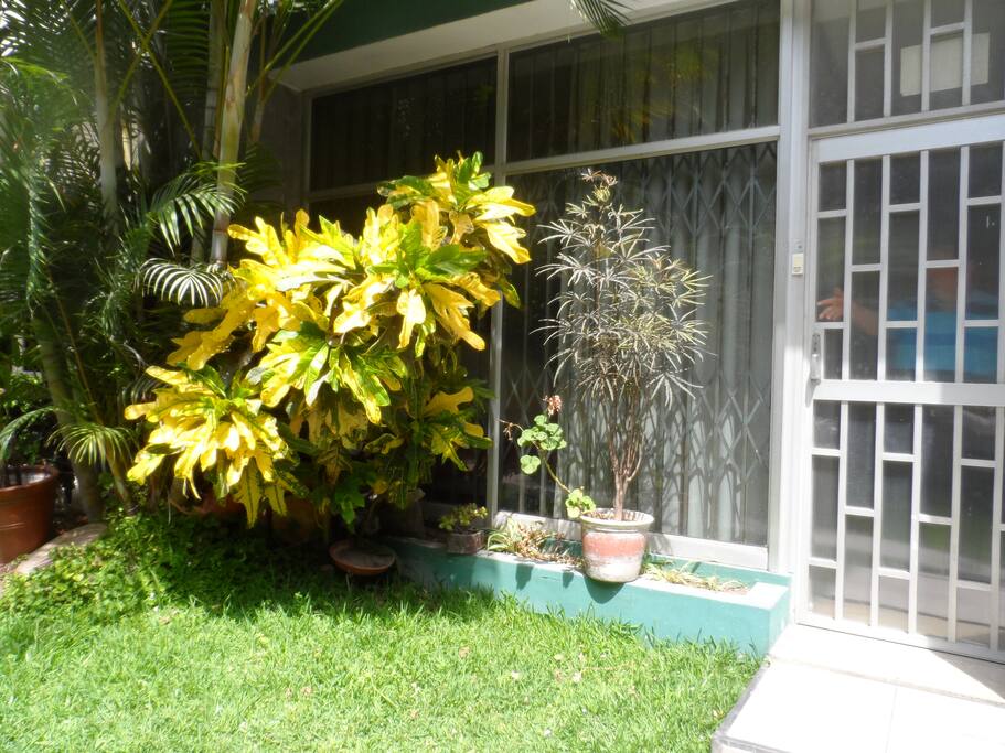 Jardín exterior desde el dormitorio principal se muestra