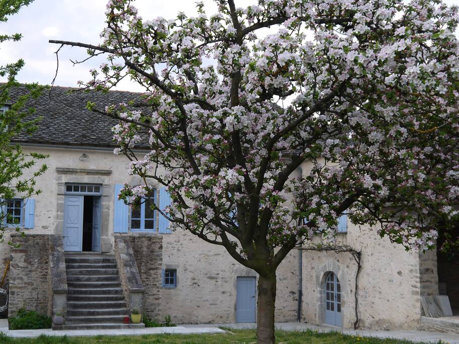 la cour de la maison