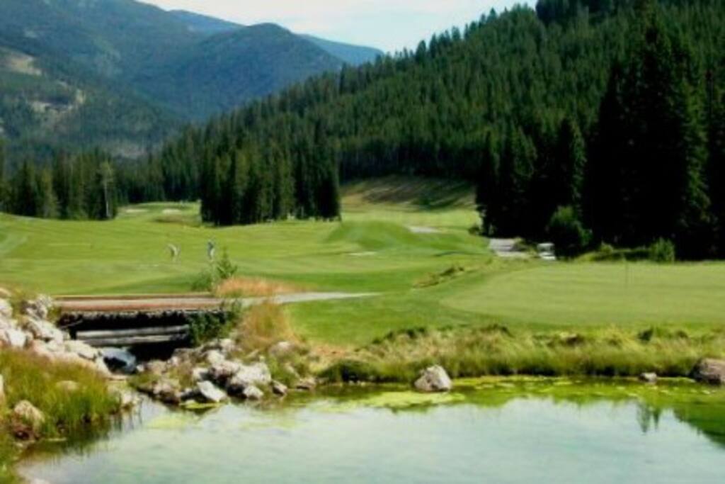 Golf Nearby