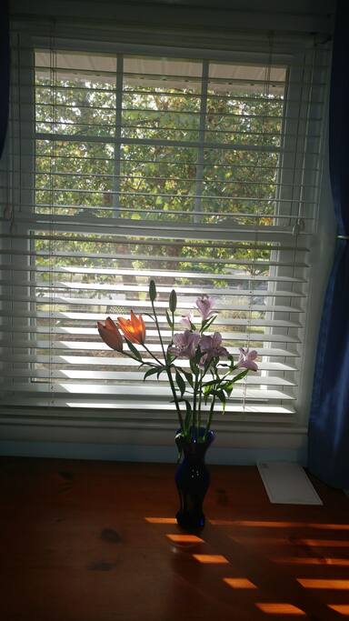 Bedroom view.