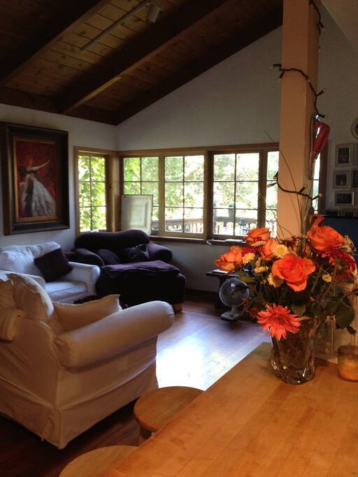 Light filled living room