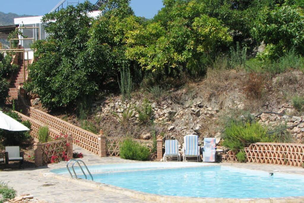 View from the swimming pool to the cortigo and the large terrace.