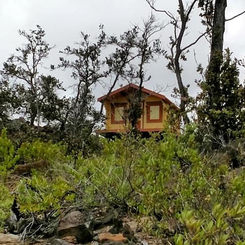 Pineapple Cottage, Glamping in Ocean View Estates