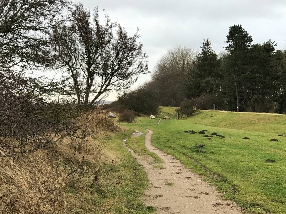 Hier kannst du ausgiebige Spaziergänge direkt an der Ostsee machen, Fahrrad fahren, die Ruhe genießen oder auch spannende Abenteuer erleben.