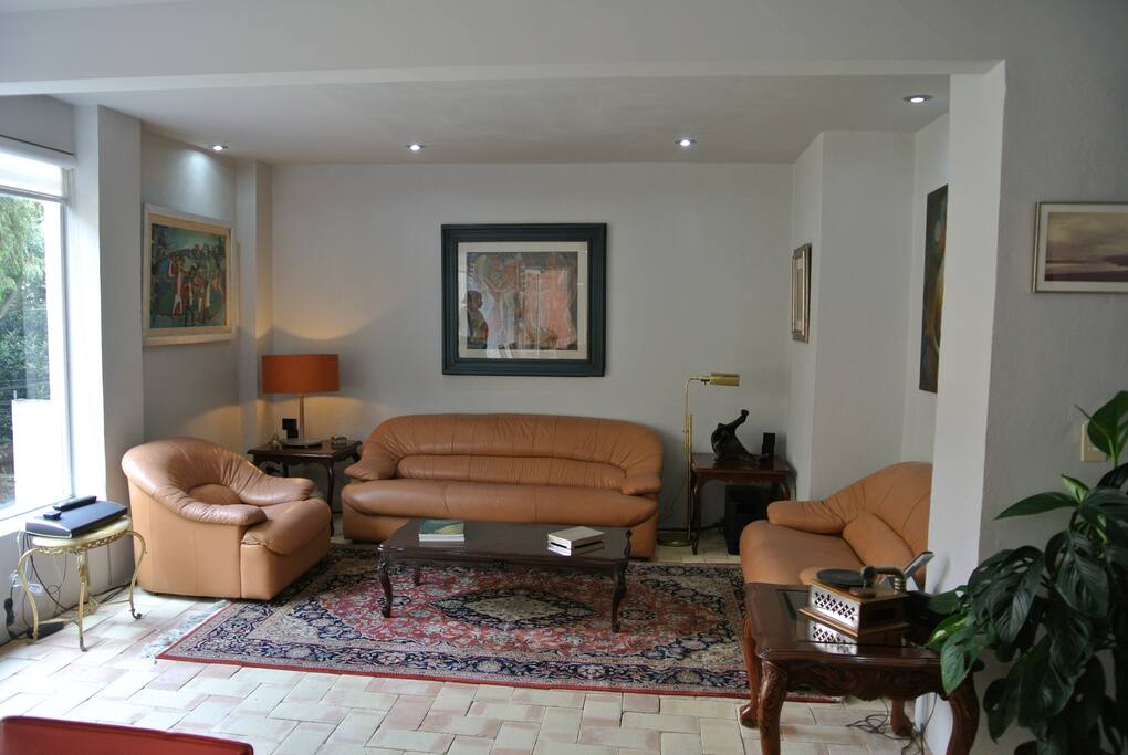 Sala muy luminosa con excelente vista al bosque.