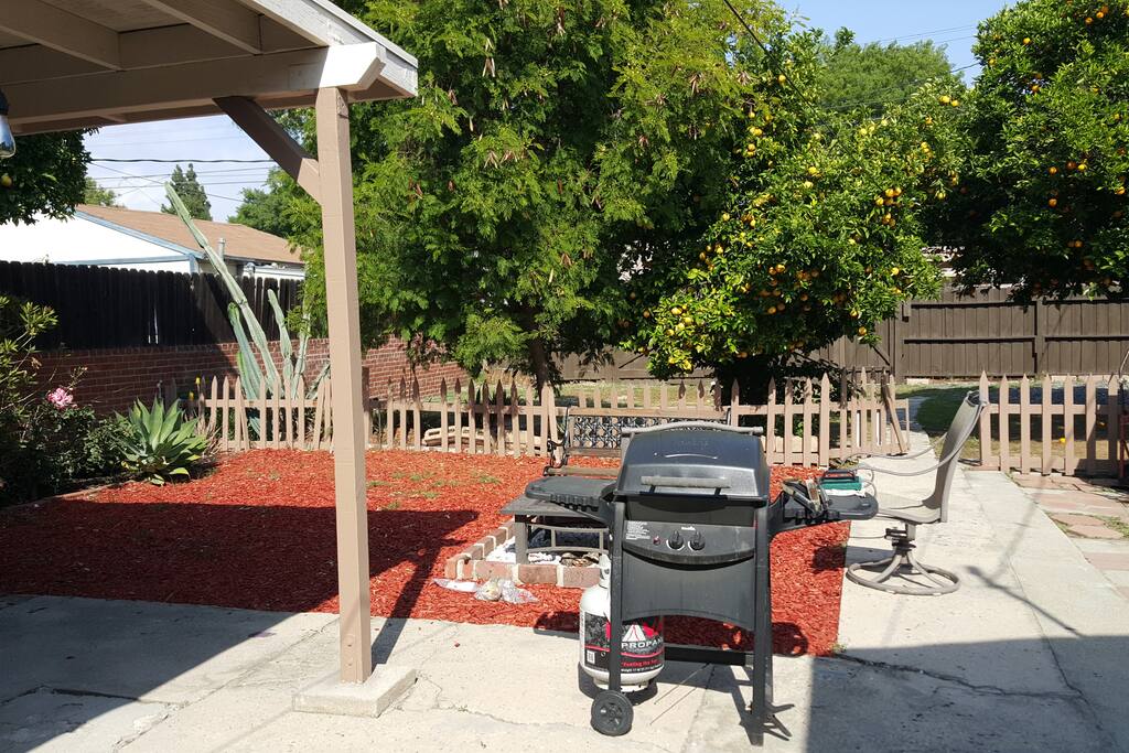 Backyard with BBQ and fire pit