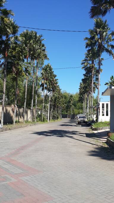 Surroundings