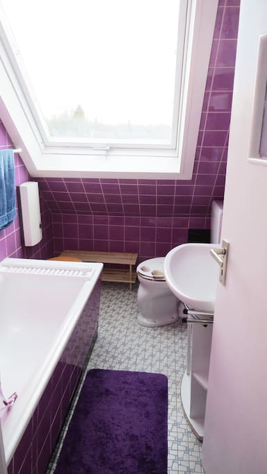 Badewanne mit Duschmöglichkeit.