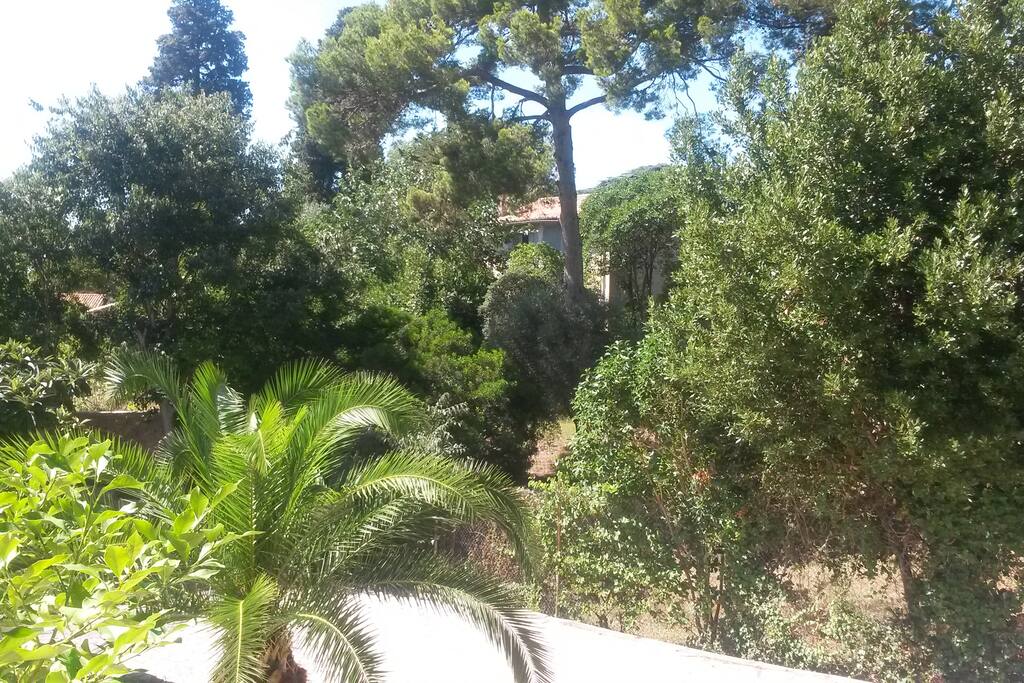 Ecrin de verdure