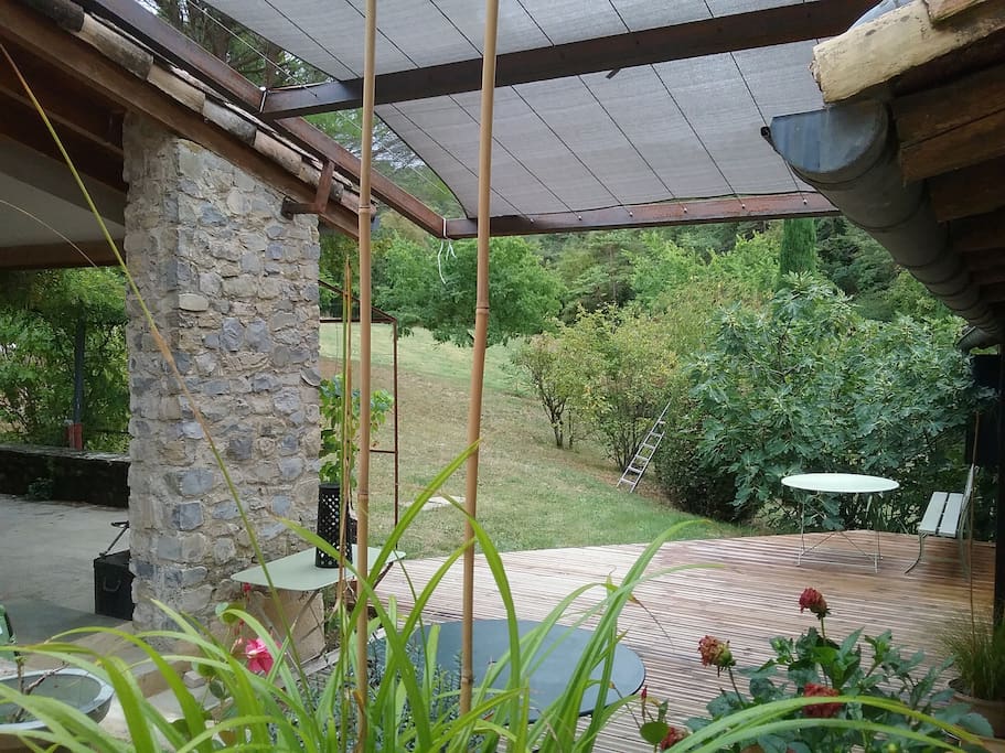 Déjeuner dans la verdure