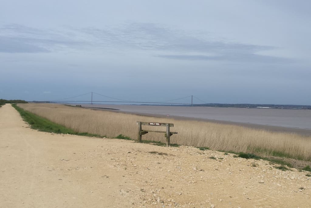 Humber bank view