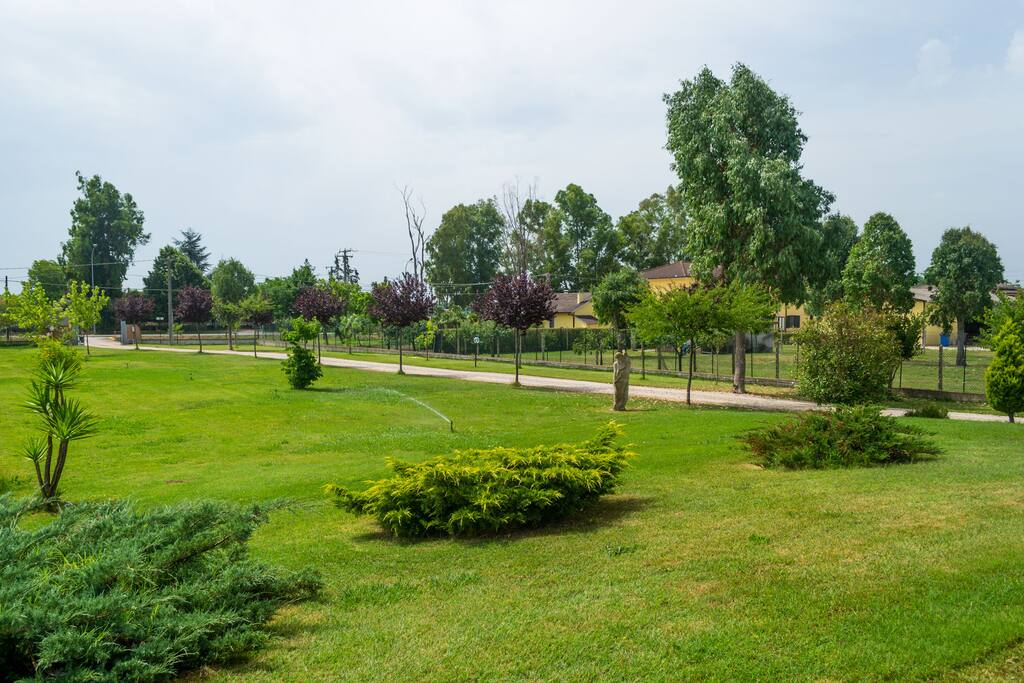 Vista del giardino