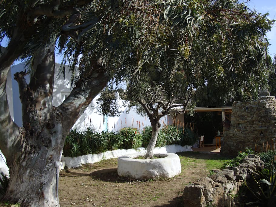 Side of outdoor sitting area
