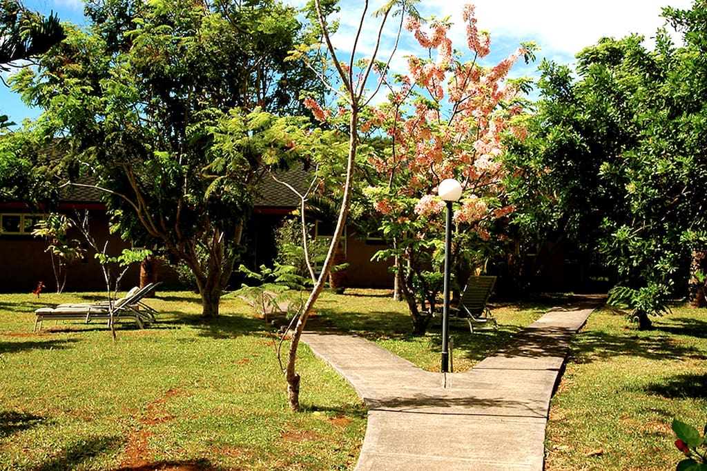 Walkway from the parking lot to the studio