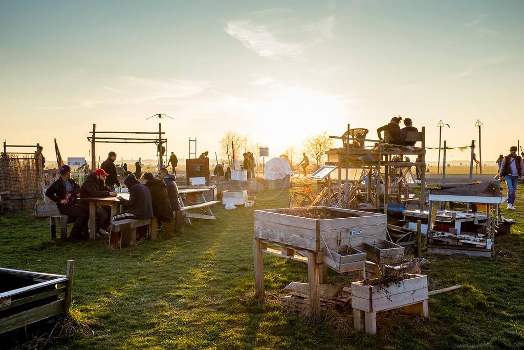 Urban gardening at Tempelhofer Feld