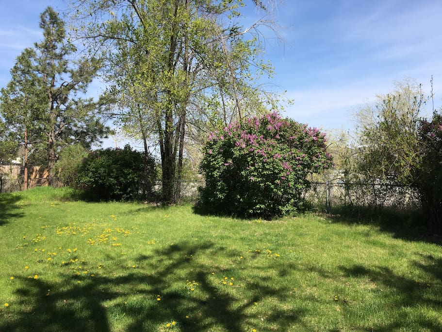 Dog Friendly Walks In Boise Dog Friendly Walks In Boise