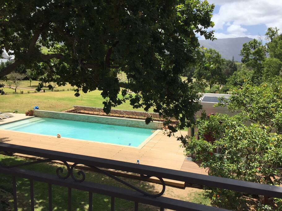 Large pool available to guests