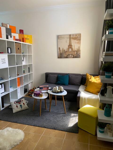 Penthouse studio flat