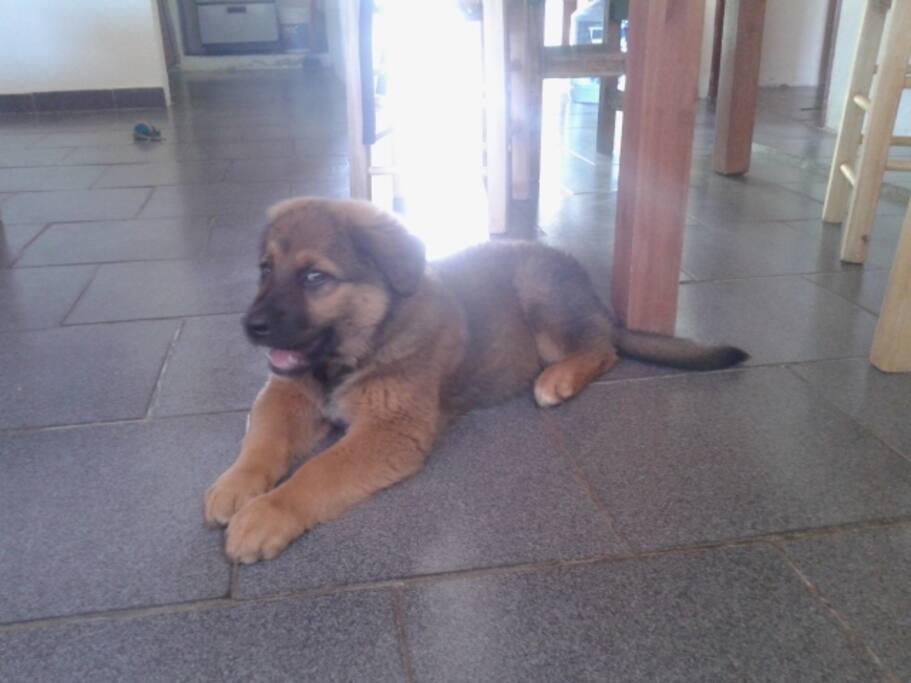La dueña de la casa!