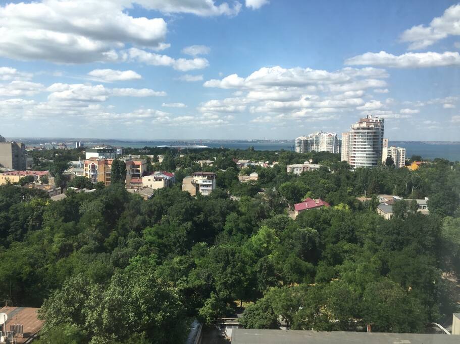 вид