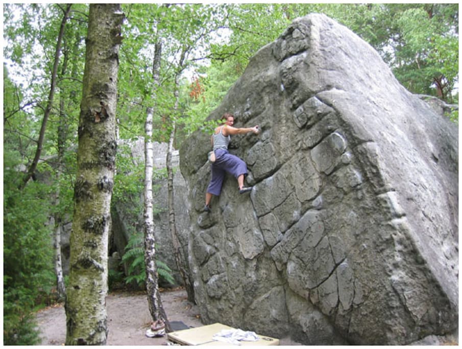 Escalade à Fontainebleau