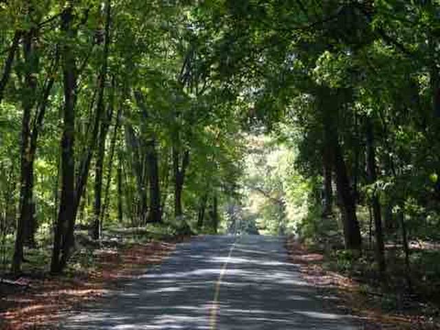 Lake Sylvia Peninsula Paradise, 17’ Water Clarity gallery image 2