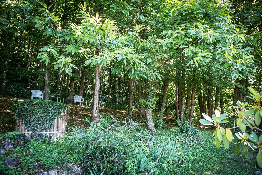 Le bois de châtaigners