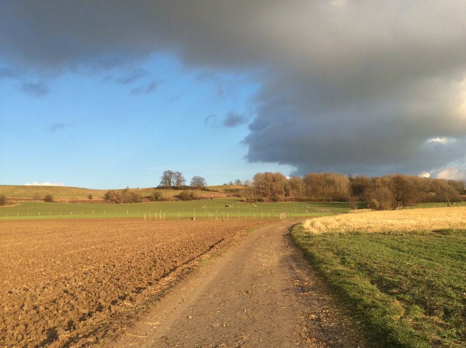 Tracking route to Savelsbos