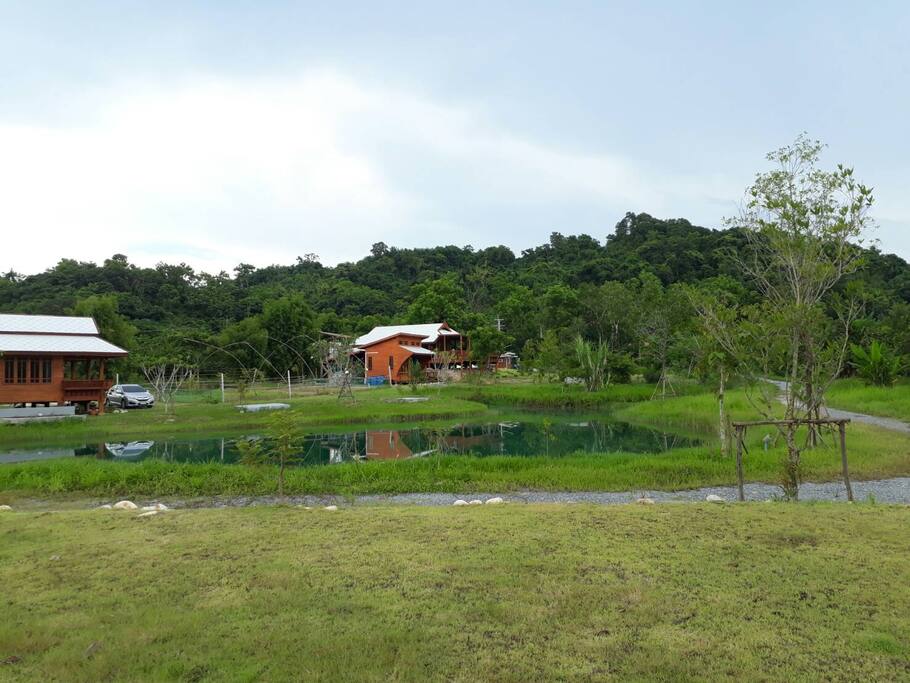 ลานกางเต๊นท์
