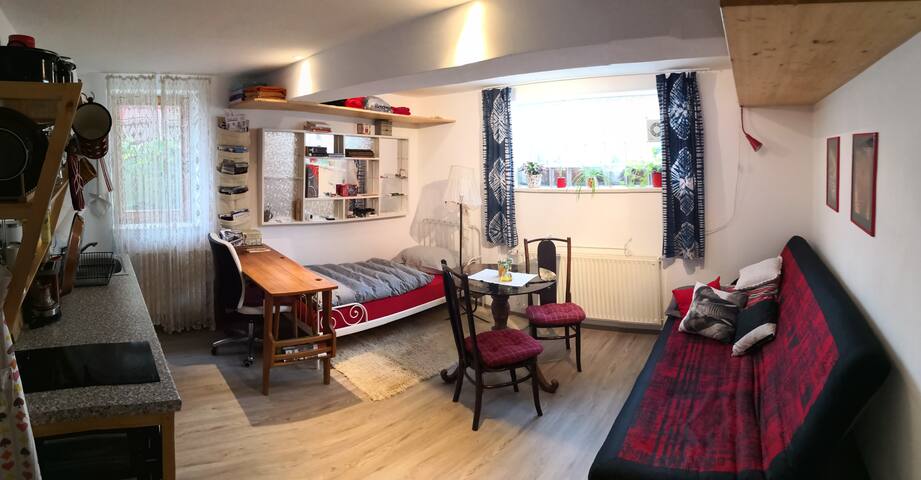 XS Under-ground Coupe