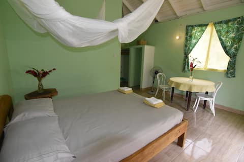 Soufriere Guesthouse - Private en-suite queen room