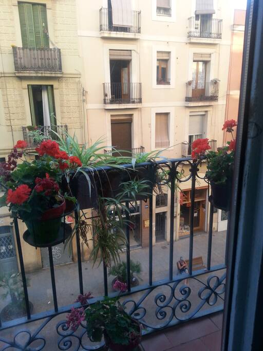 Vistas de la habitación