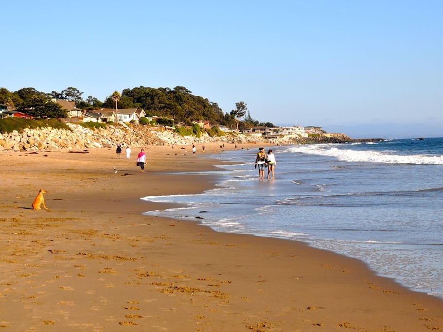 Beach access is at end of our block, 26th Avenue - a one-mile stretch of pristine sand!