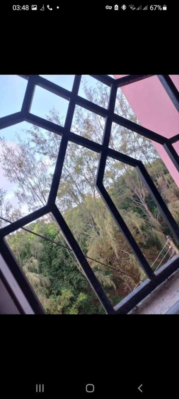 Picha ya Forest view 1