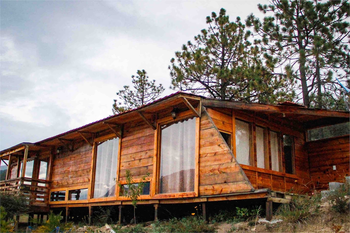 A wooden cabin is set among tall trees, featuring a sloped roof and large glass windows that offer views of the surrounding nature. The exterior is accented by a wooden deck, providing outdoor seating and access to the serene environment.
