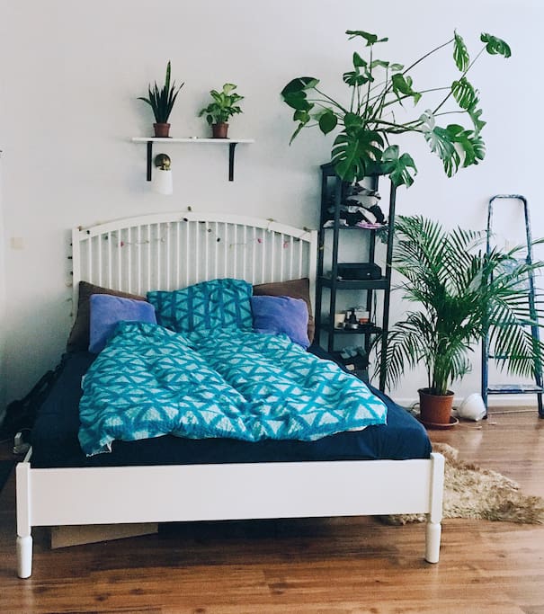 bedroom / living room
