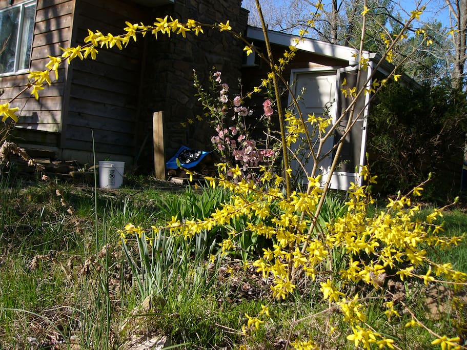 permaculture landscape