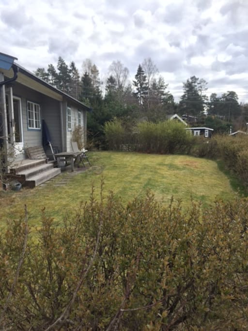 Bilde av hagen og gressplen