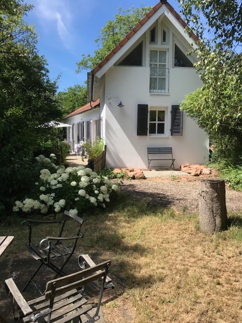 Idyllic country house in the vineyard