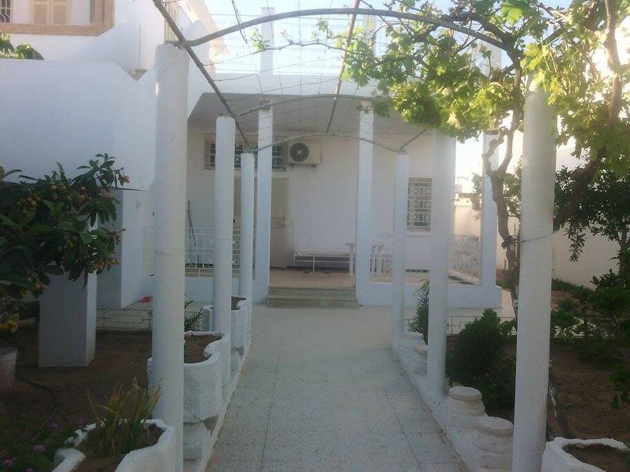 garden