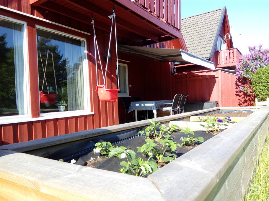 backside of the house, new veranda, grill and enough space to hang out