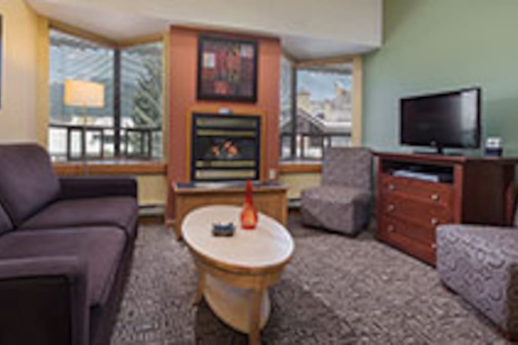 Living room, pull-out couch, gas fireplace