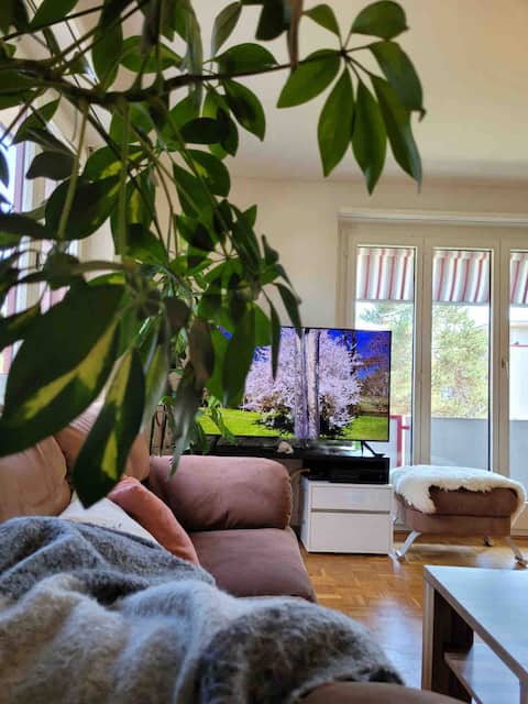 Cozy apartment in Baar-Zug, very central!