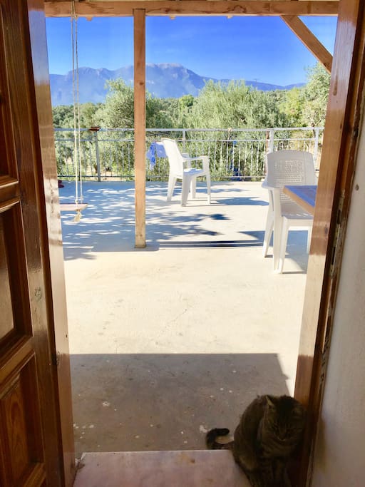 Door from kitchen to balcony