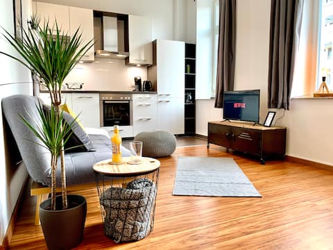 Stilvolles Apt! Nintendo & Netflix - 750m->Zwinger