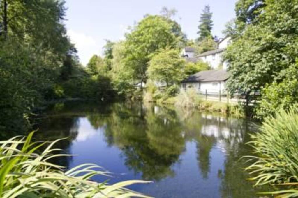 Woodford Bridge Country Club Exterior Lake