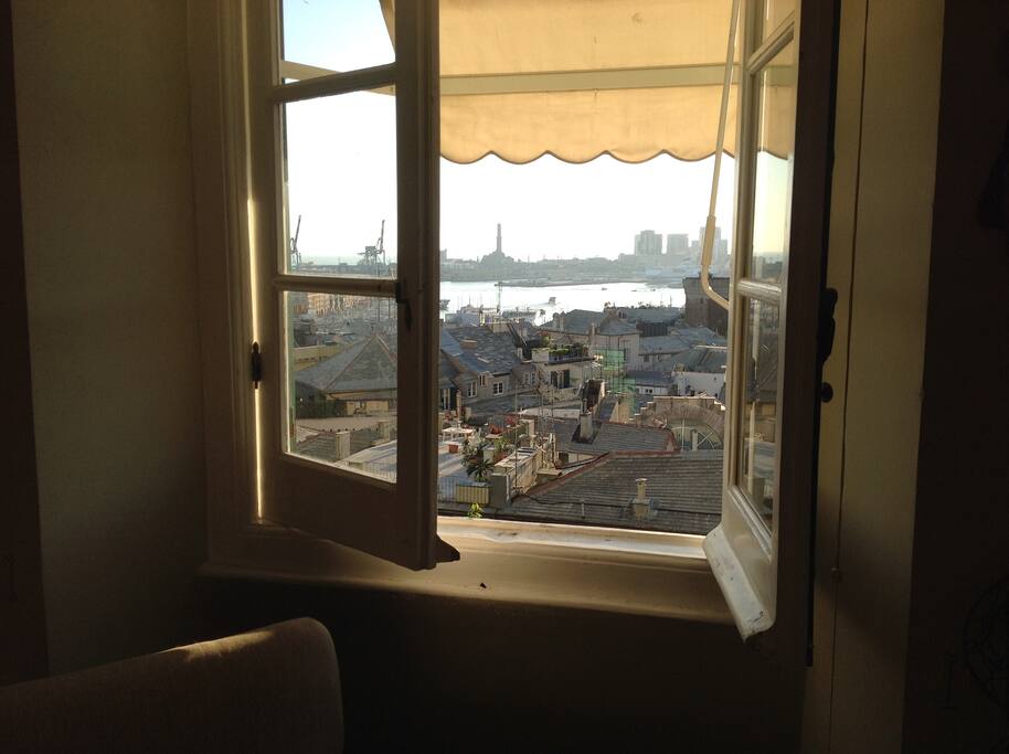 View