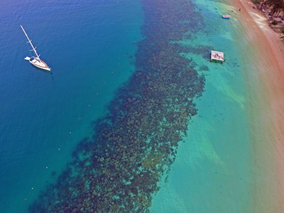 great corals